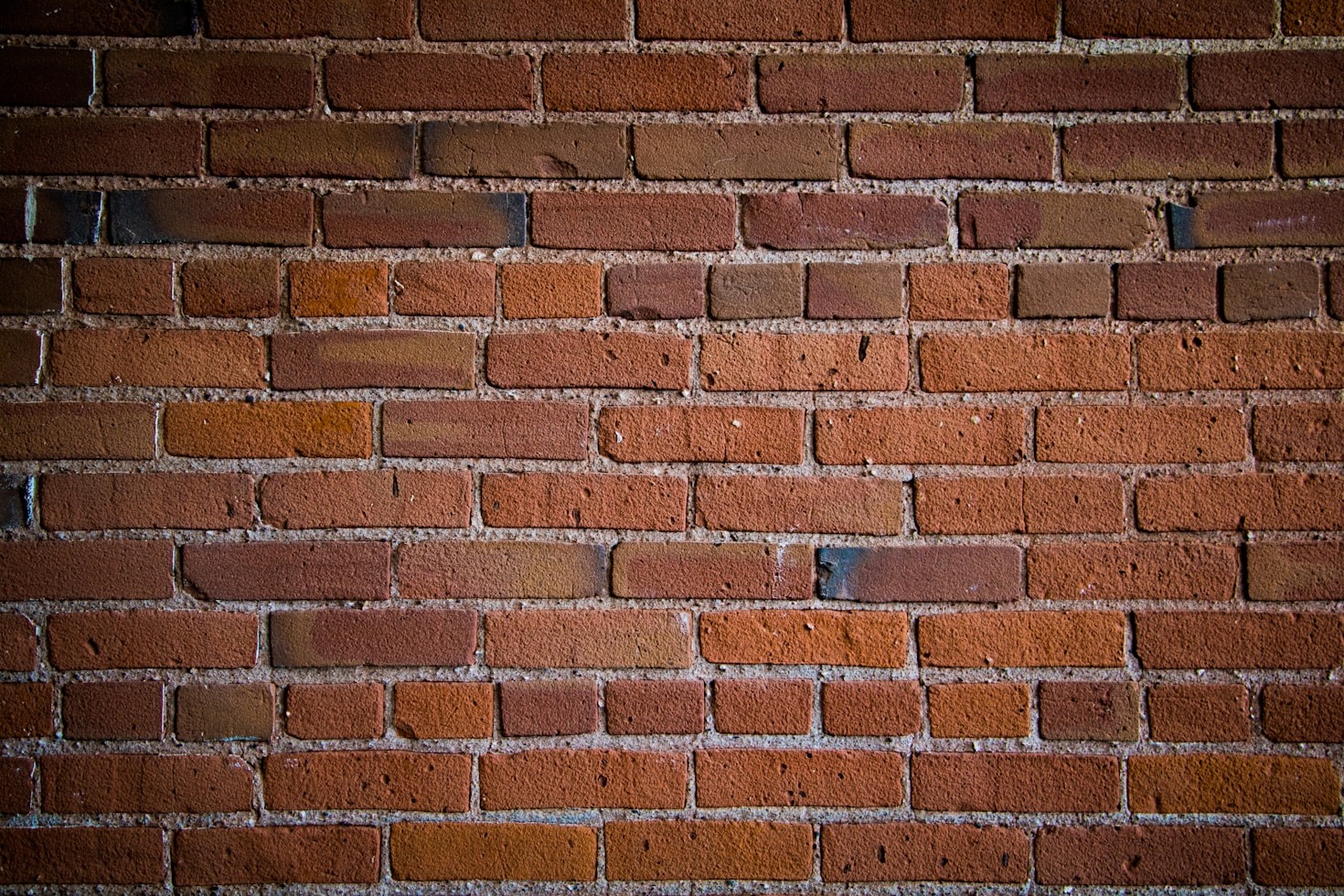 Warum professioneller Innenputz entscheidend ist